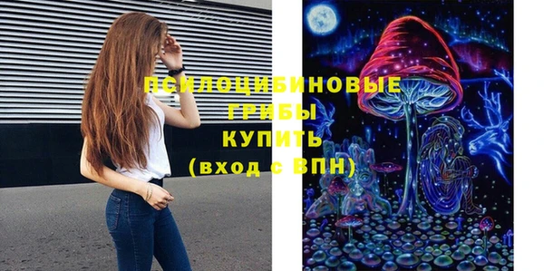 ешки Володарск